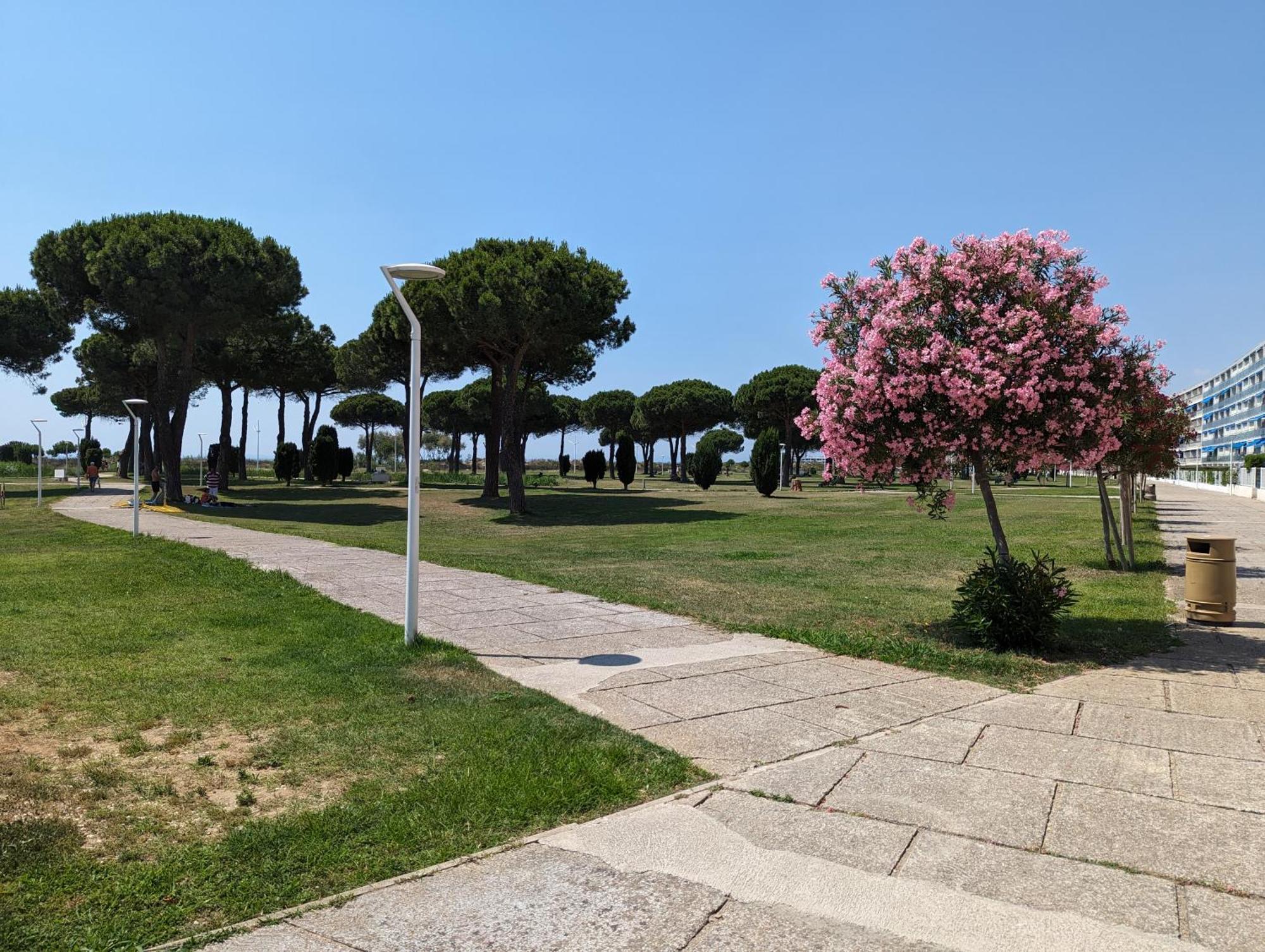 Sol-Y-Days Mathilde, Agreable Appartement En Rez-De-Jardin Avec Parking Et Un Acces Direct A La Plage Льо Гро-дю-Роа Екстериор снимка